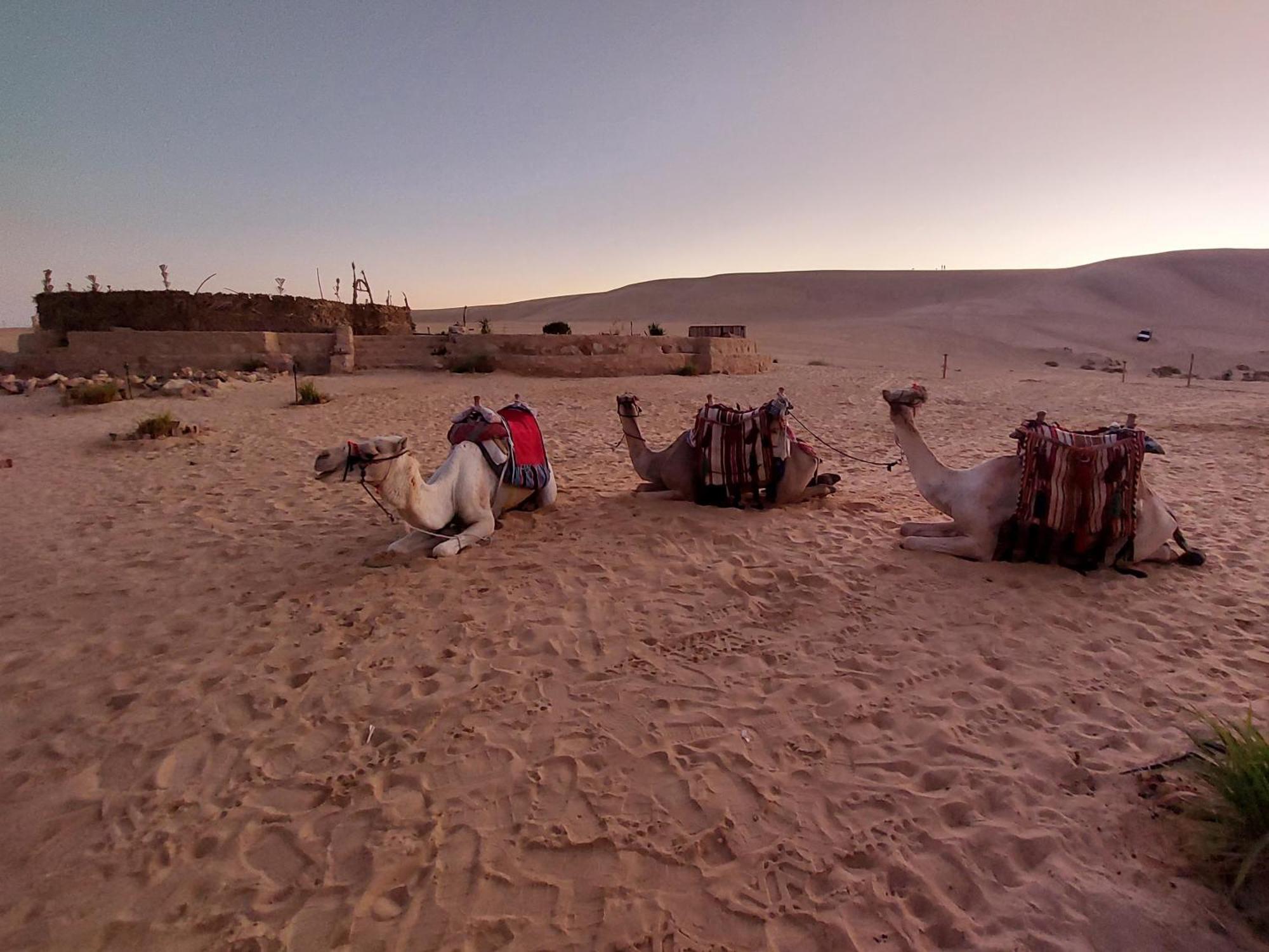 Hotel Hayaat Siwa Hot Spring Siwa Oasis Exterior foto